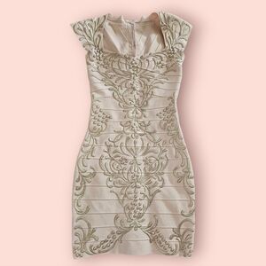 Holt Blush Pink Bodycon Gold Baroque High End Formal Dress